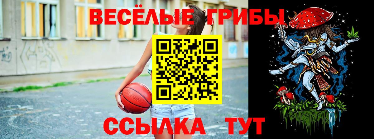 Менделеевск  Галлюциногенные грибы ЛСД  Вход с VPN 